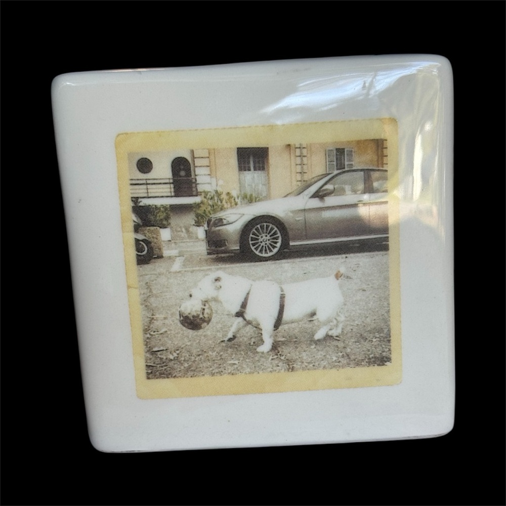 White Ceramic Coaster with Dog Print